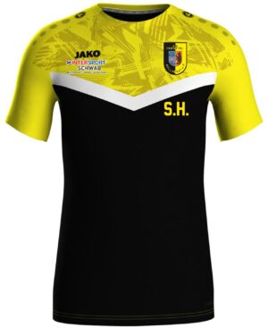 VFB Friedetal Sollstedt Trainingsshirt Iconic