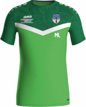 SG Ammern Trainingsshirt Iconic