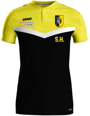 VFB Friedetal Sollstedt Poloshirt Iconic