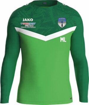 SG Ammern Sweatshirt Iconic