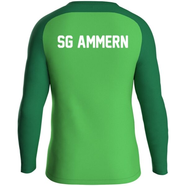 SG Ammern Sweatshirt Iconic – Bild 2