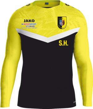 VFB Friedetal Sollstedt Sweatshirt Iconic