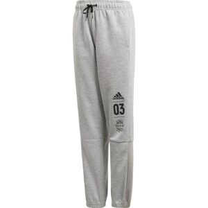 ADIDAS YB SID PANT MGREYH