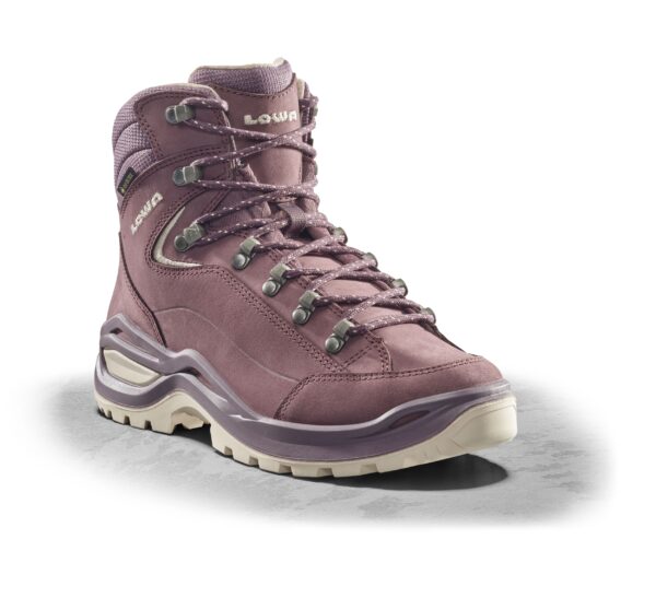 LOWA RENEGADE EVO GTX MID Ws ALTROSA/PANNA – Bild 7