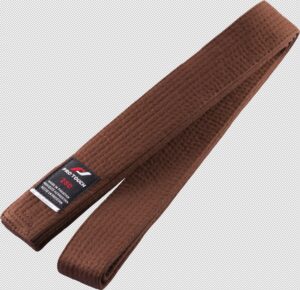PRO TOUCH Budo-Gürtel Basic BRAUN