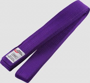 PRO TOUCH Budo-Gürtel Basic LILA