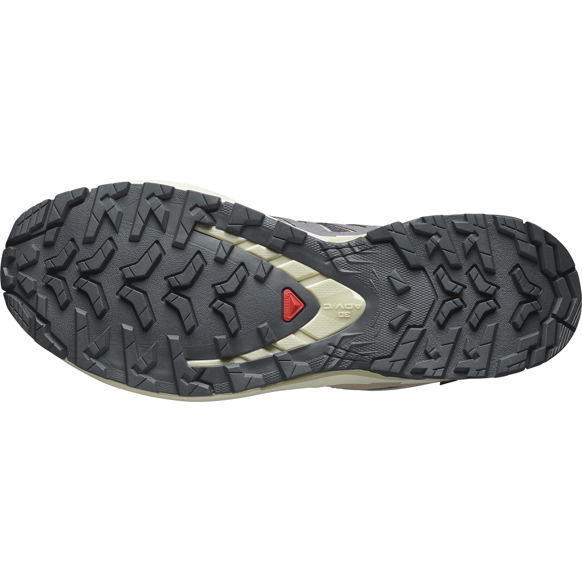 SALOMON SHOES XA PRO 3D V9 GTX W 9 Iro NINE IRON/OXFORD TAN/ALFALFA – Bild 4