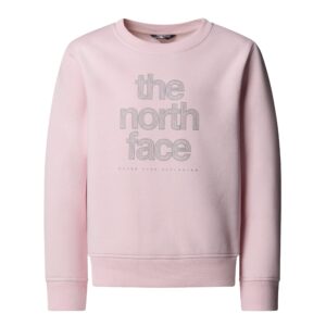 THE NORTH FACE G REFLECTIVE LOGO RELAXED CREW PALE BLOSSOM