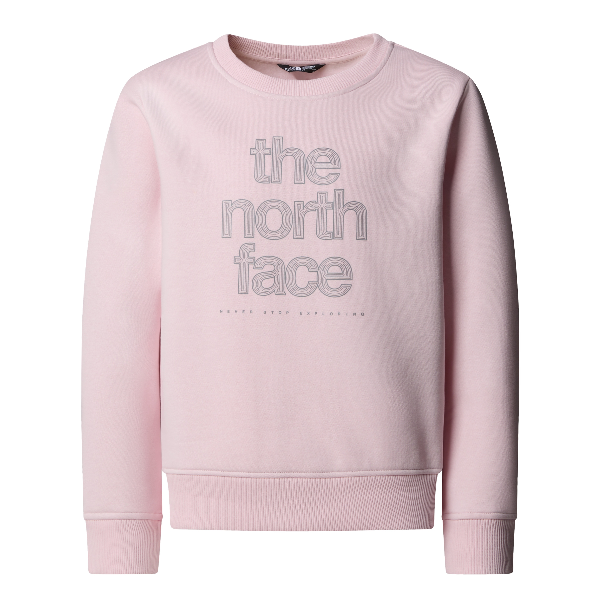 THE NORTH FACE G REFLECTIVE LOGO RELAXED CREW PALE BLOSSOM
