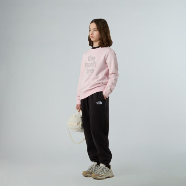 THE NORTH FACE G REFLECTIVE LOGO RELAXED CREW PALE BLOSSOM – Bild 3