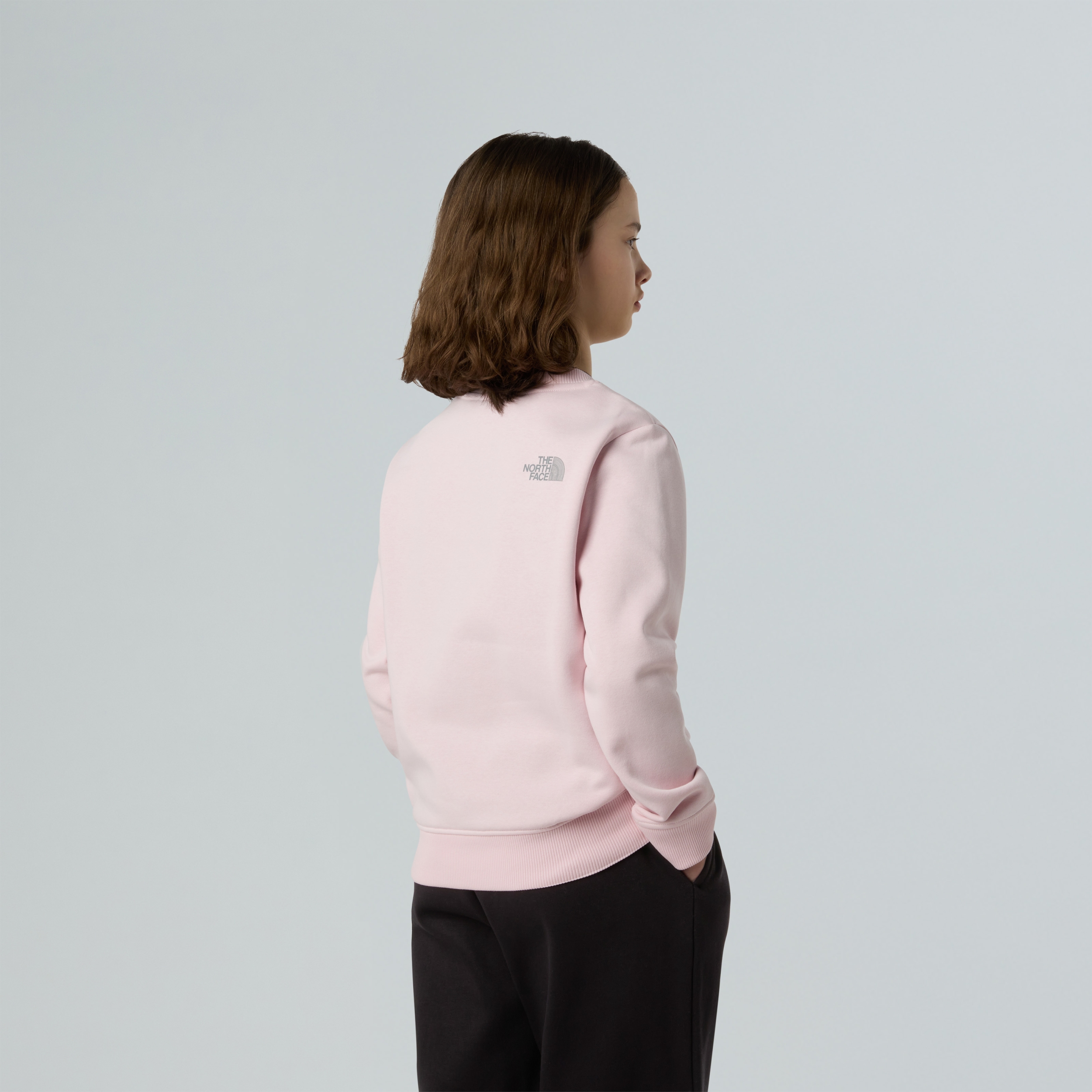 THE NORTH FACE G REFLECTIVE LOGO RELAXED CREW PALE BLOSSOM – Bild 4