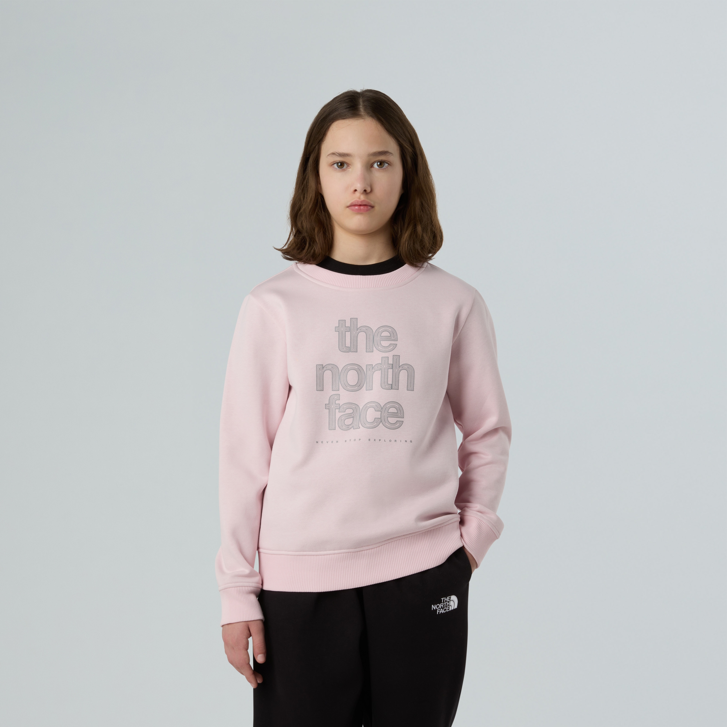 THE NORTH FACE G REFLECTIVE LOGO RELAXED CREW PALE BLOSSOM – Bild 5