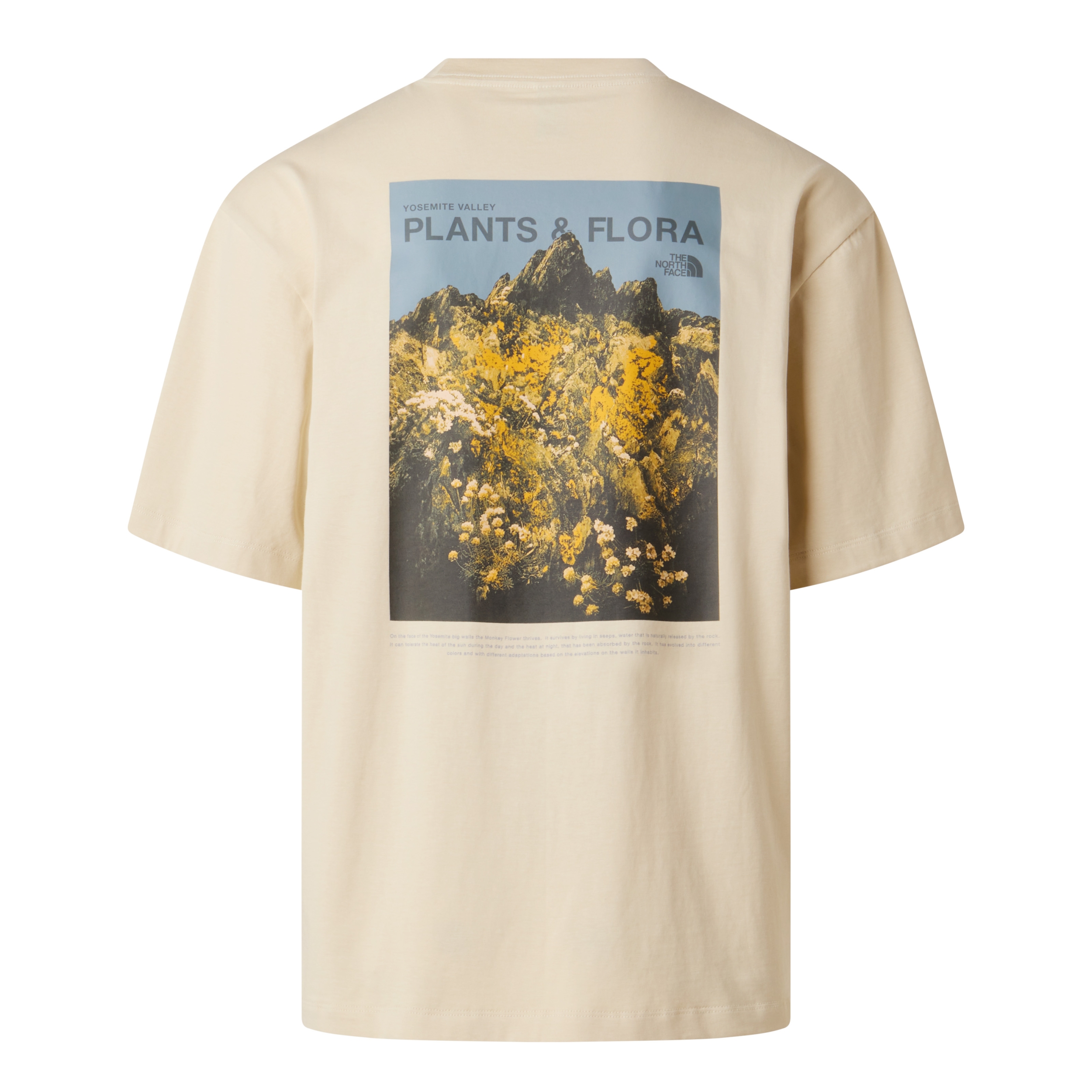 THE NORTH FACE M PLANT & FLORA OVERSIZE SHORT SLEEVE TE DESERT STONE – Bild 2