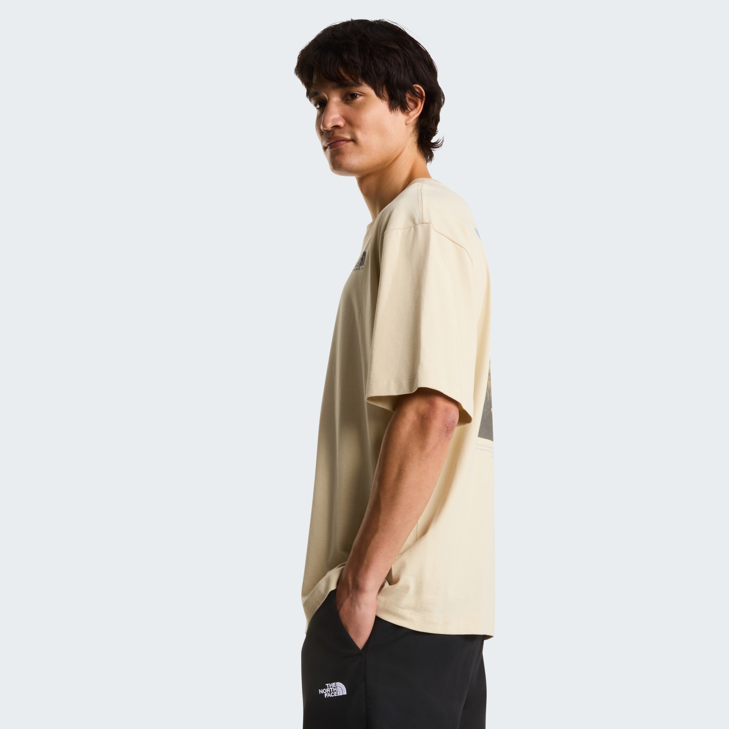 THE NORTH FACE M PLANT & FLORA OVERSIZE SHORT SLEEVE TE DESERT STONE – Bild 4