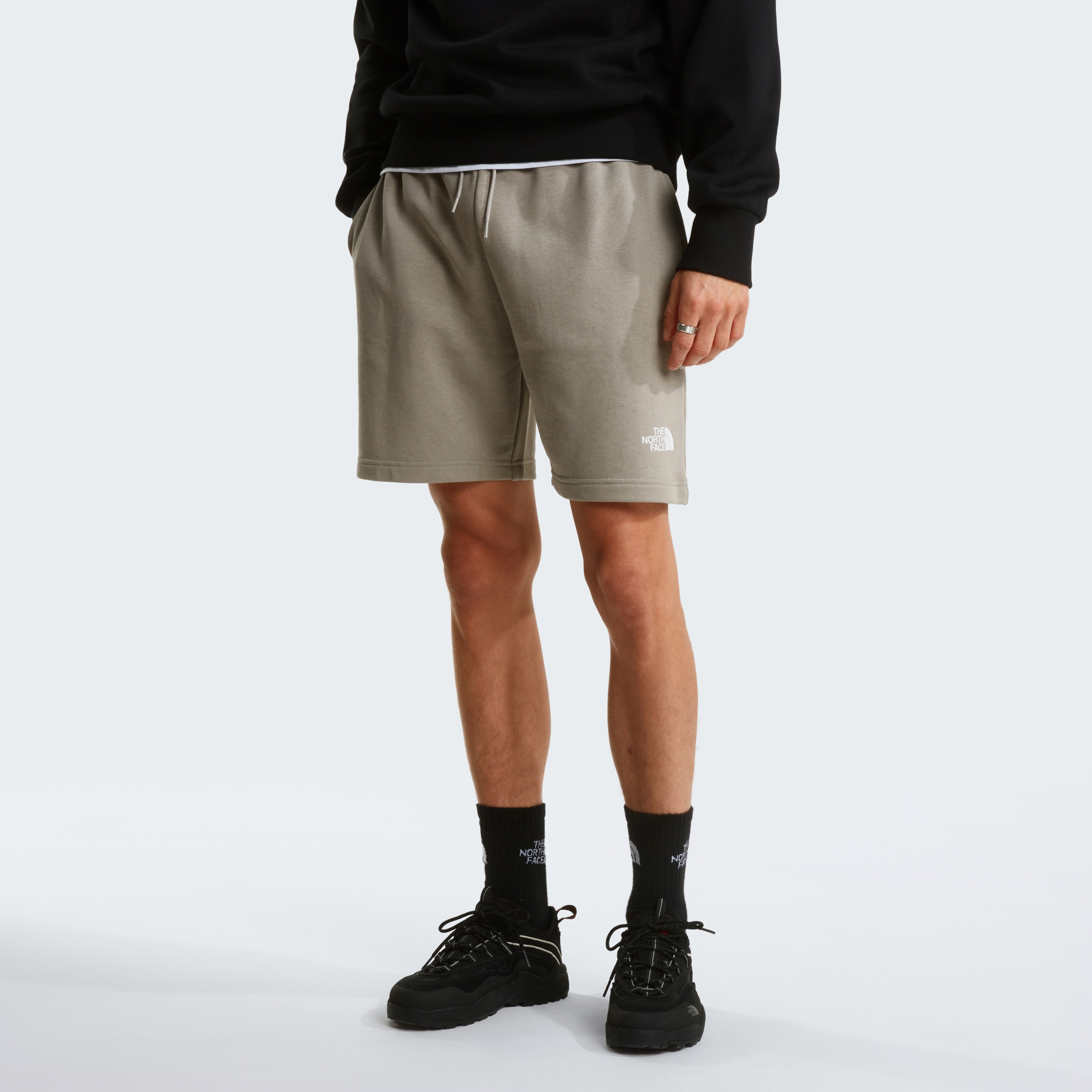 THE NORTH FACE M SIMPLE DOME LIGHT REGULAR SHORTS STONE SLAB – Bild 3