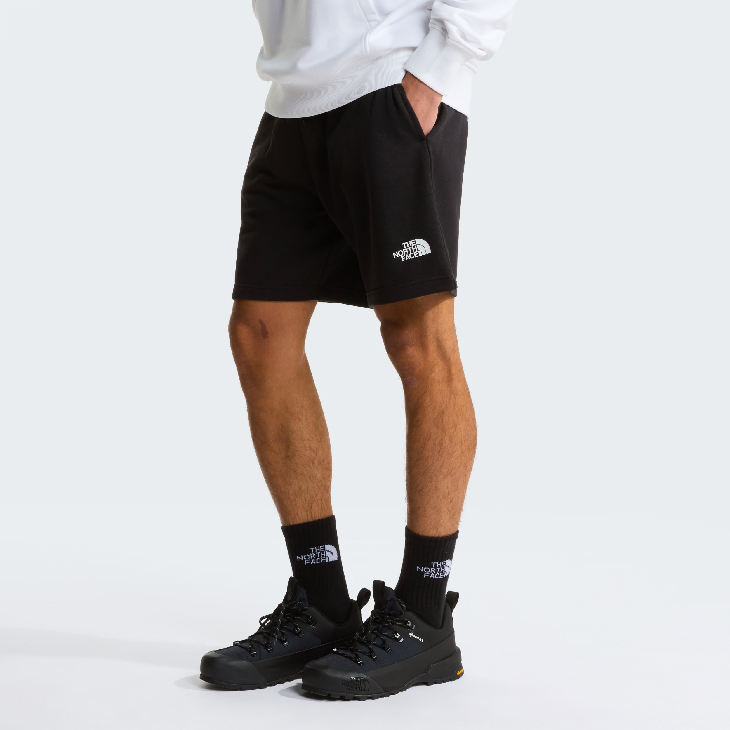 THE NORTH FACE M SIMPLE DOME LIGHT REGULAR SHORTS TNF BLACK – Bild 3